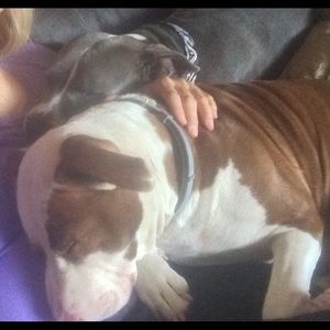 Meet your Posher, Karin